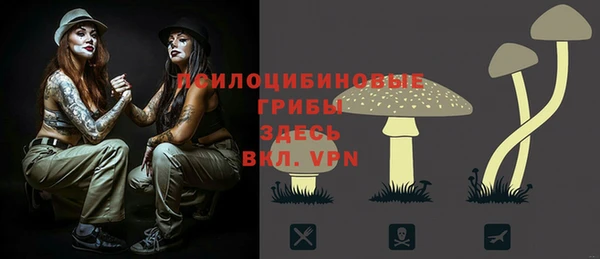 соль ск Костерёво
