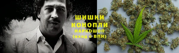 2c-b Корсаков
