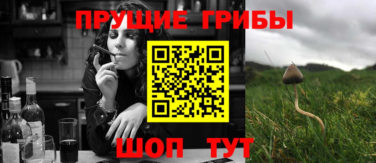 Иркутск  где купить наркоту  Вход с VPN  Галлюциногенные грибы мицелий  Псилоцибиновые грибы мицелий 