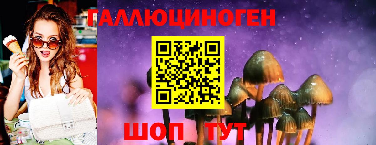 Псилоцибиновые грибы Magic Shrooms Иркутск