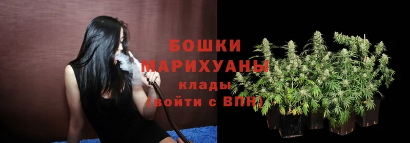 Шишки марихуана OG Kush  hydra сайт  Иркутск 